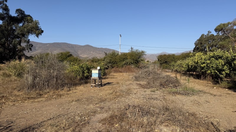 Imagen de Venta Parcela en Coquimbo - VILLA EL BOSQUE TAMBILLOS - 7000 m² (Cod. 39934)
