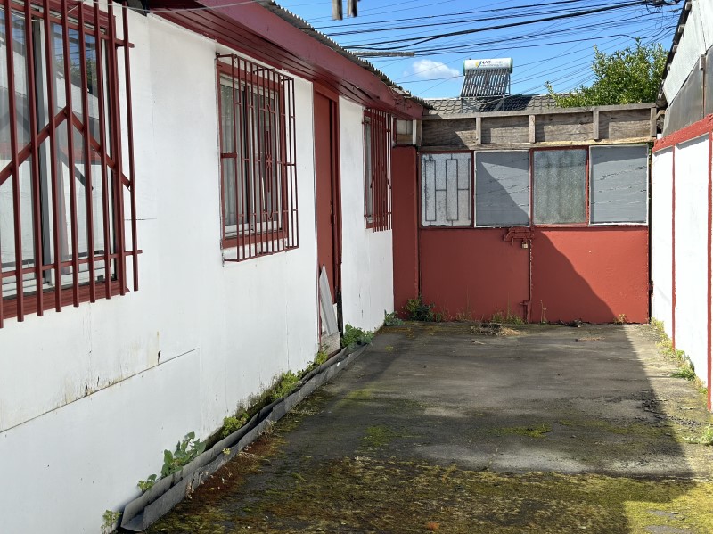 Miniatura 13
