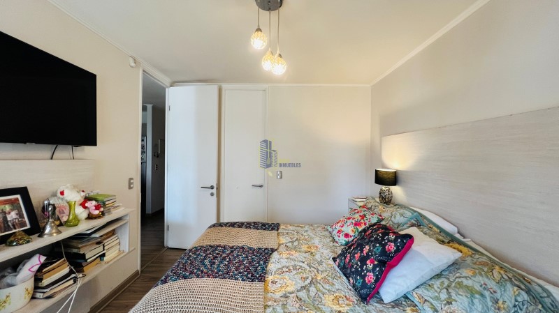 Miniatura 13