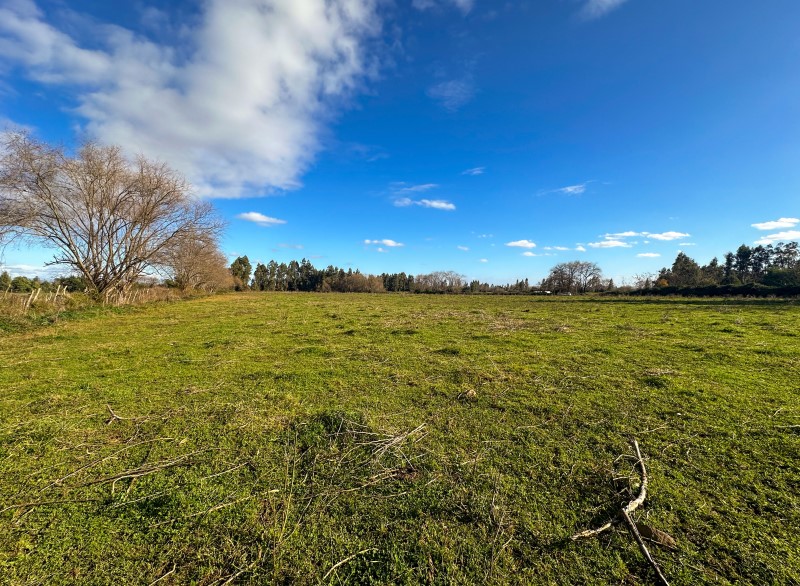 Imagen de Venta Parcela en Colbún - PASO RARI - 40000 m² (Cod. 40033)