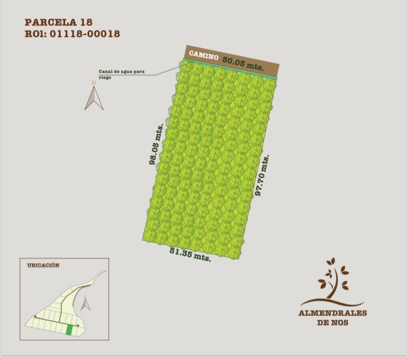 Miniatura 12