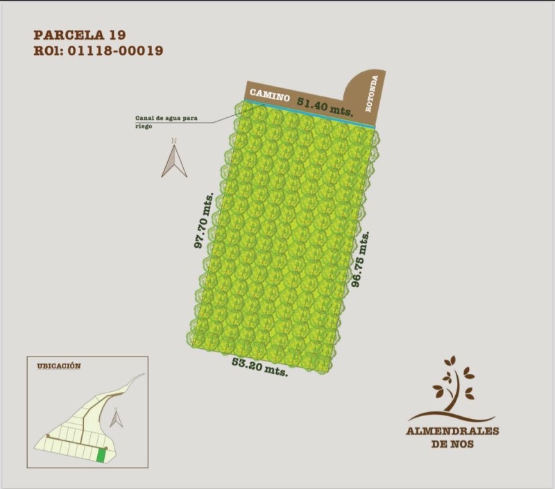 Miniatura 14