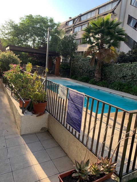 Miniatura 12