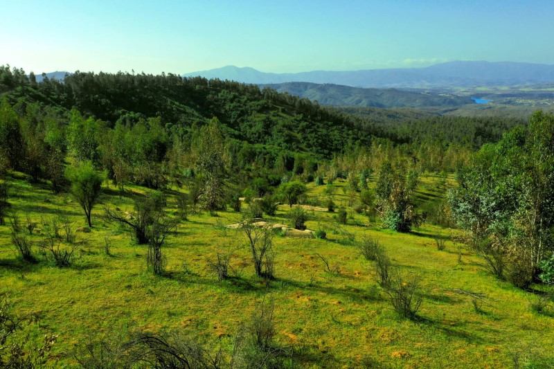 Imagen de Venta Parcela en Limache - COMUNIDAD VALLE VERDE MAR - 5010 m² (Cod. 40085)