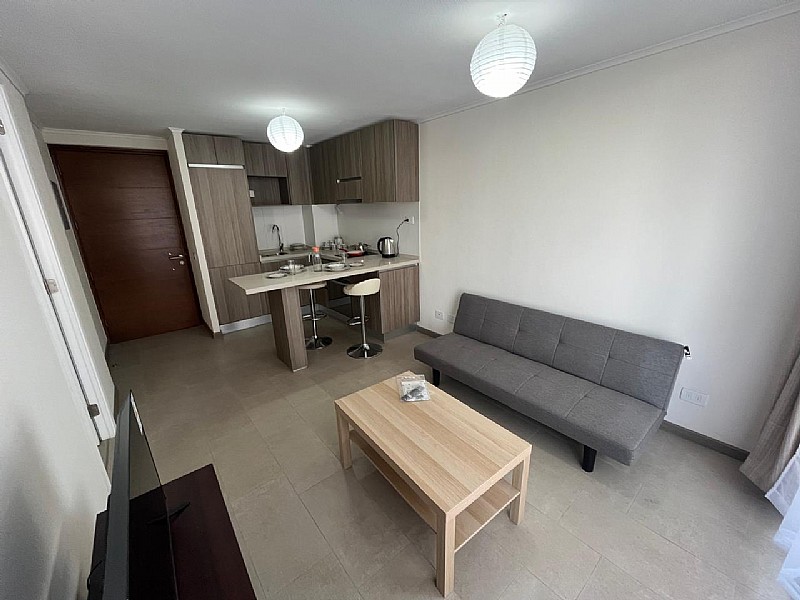 Imagen de Arriendo Departamento en Macul - OFERTA - REBAJADO - AMOBLADO / LAGUNA CENTRO - 40 m² - 1D (Cod. 7454)